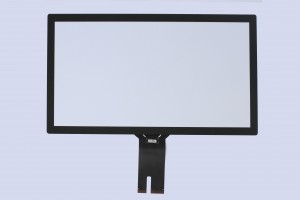 Touch screen module